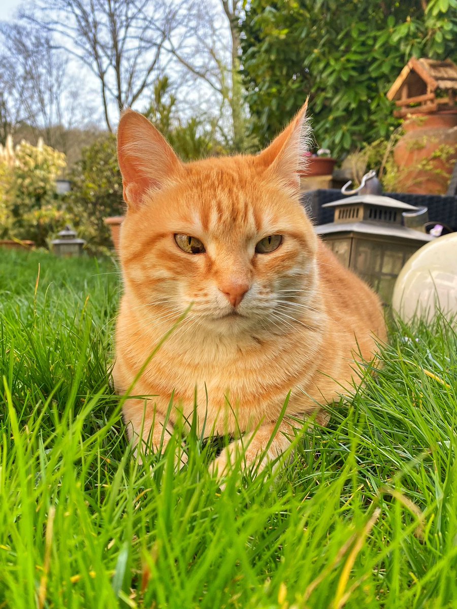 Giuseppe, Rudi & Hannes † tweet media