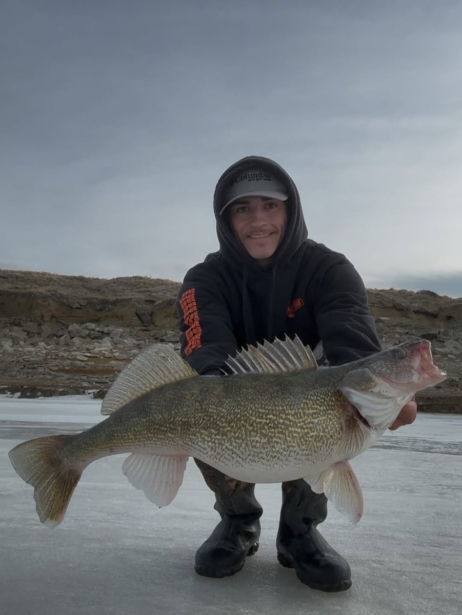 Fishing Niche tweet media