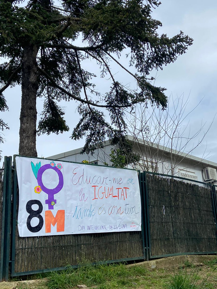 Afa_IEPallerola's tweet photo. El #8deMarç i cada dia, educar en la igualtat és cosa de totes! 💜 https://t.co/ky0AKYbOne