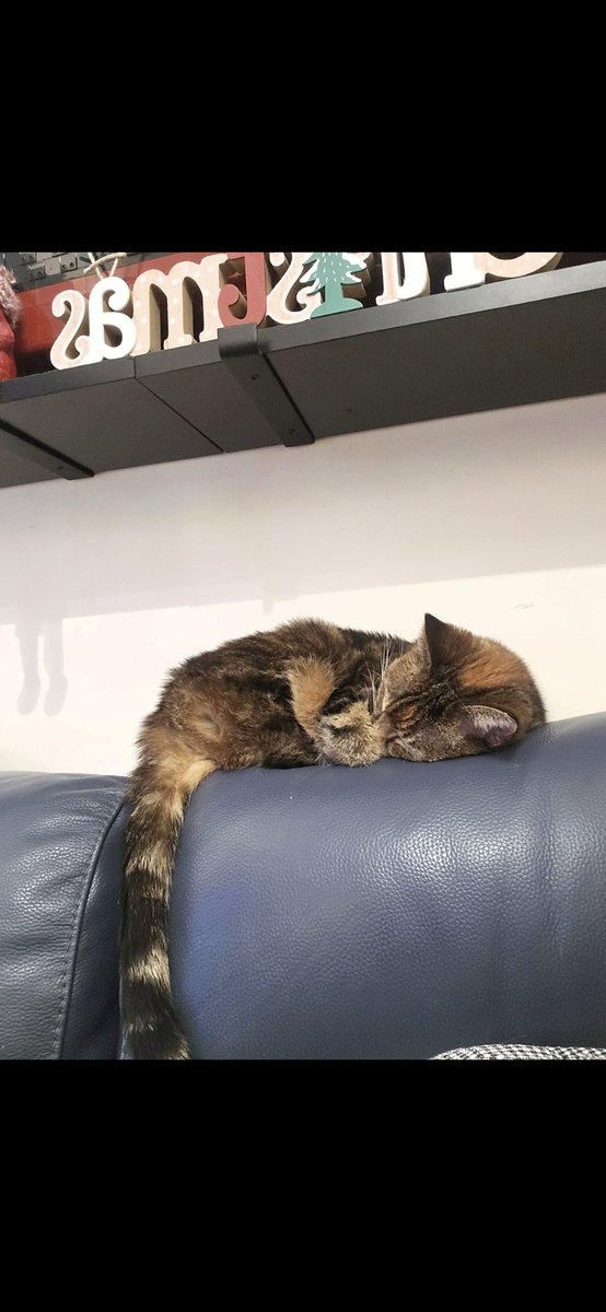 Susan Calman tweet media