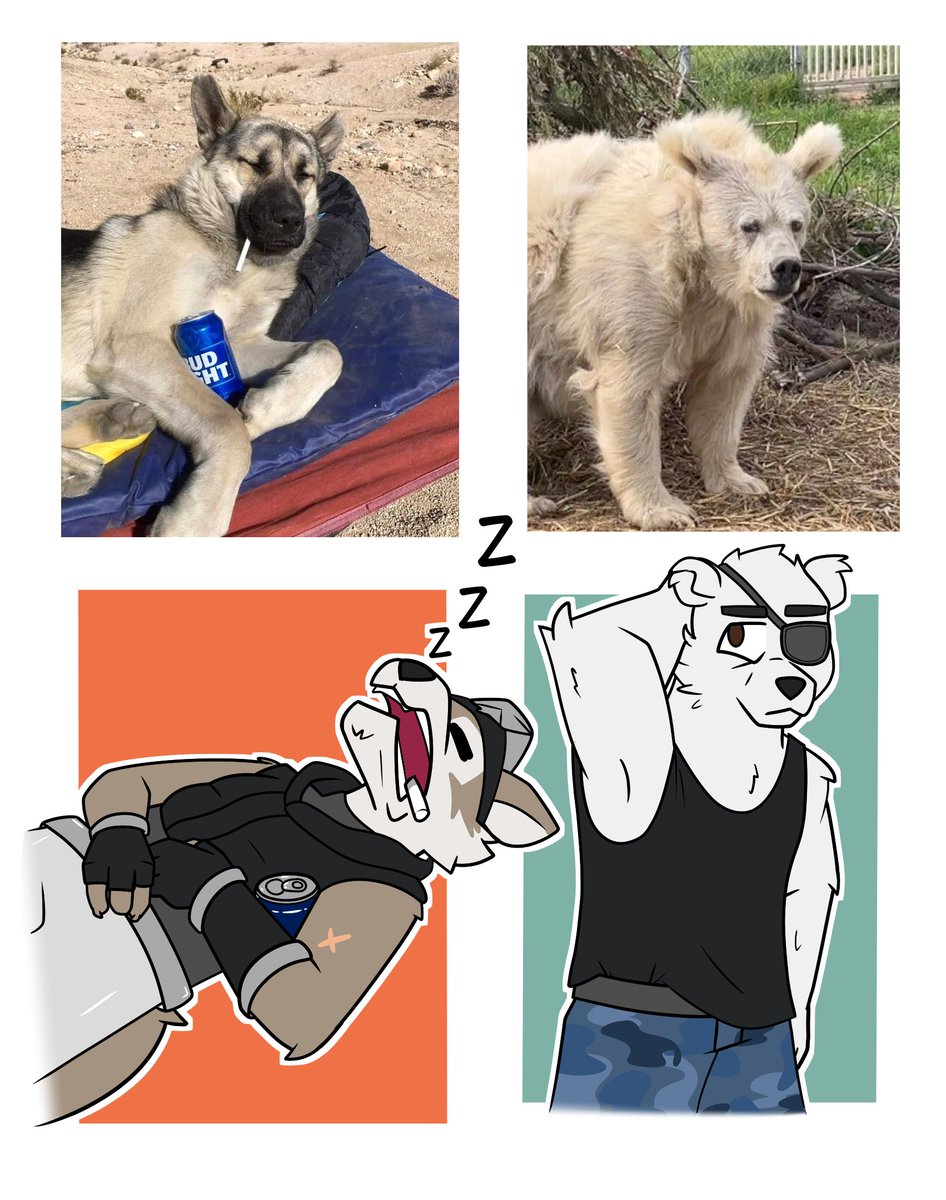 Stephan JQ tweet media