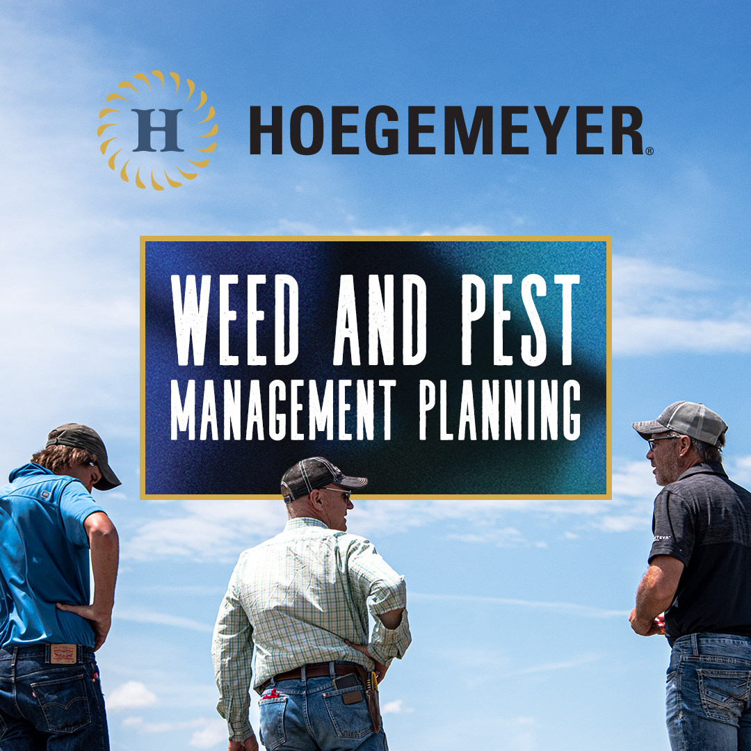 Hoegemeyer Hybrids tweet media