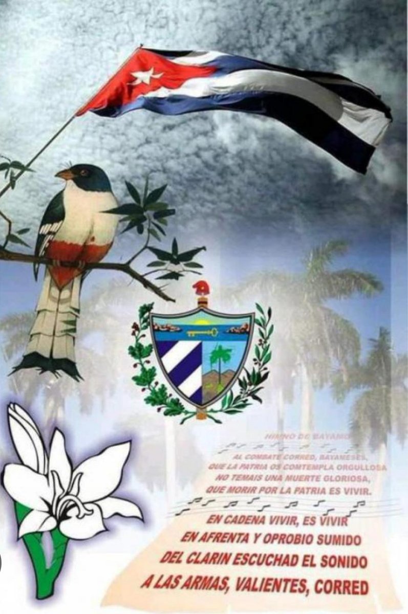 Trump: "El gran cambio pronto llegará a Cuba"
El mandatario estadounidense aseguró que cuatro de los presentes en la cumbre le pidieron encargarse de la difícil situación que atraviesa el país caribeño.
¡Cuanta traición hoy en nuestra América!!!
#CubaEstáFirme 
#CubaVencerá