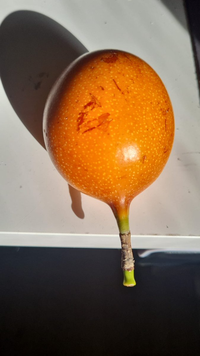 Umit Torun tweet media