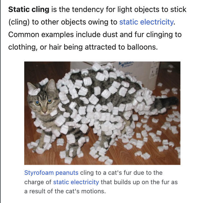 wiki_aday's tweet photo. The image for the "Static cling" article might be a frontrunner for the Wikipedia main image awards https://t.co/LGSuYgBxZk