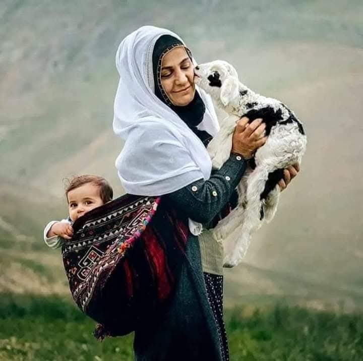 it_okz's tweet photo. هوا راوړل کۀ اوبو جنګونه راوړل۔
دلته خلګو د پردو جنګونه راوړل۔
ښځو راوړ امنيت دغې نړۍ ته
سړو څۀ وکړل, سړو جنګونه راوړل۔

#womensday2026
 #InternationalWomensDay https://t.co/1bHiDS0a1e
