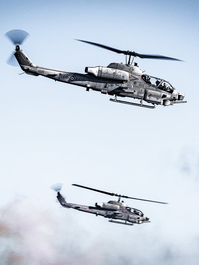 MaviVatan.net tweet media