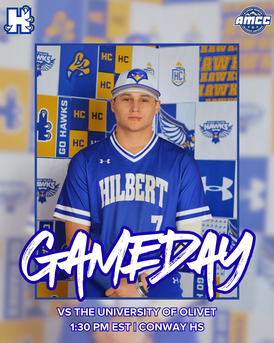 Hilbert College Baseball tweet media