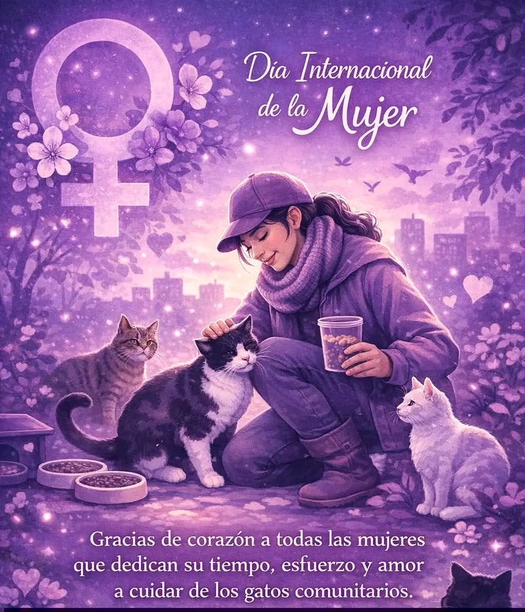 Tio Felino (Leo) tweet media