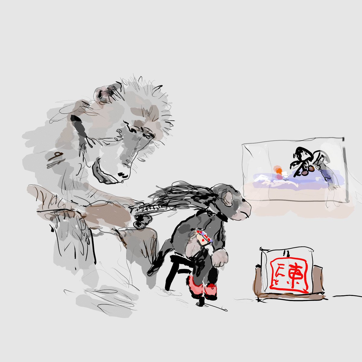 SSosum's tweet image. "Baboon cutting Hair"                #baboon  #barber