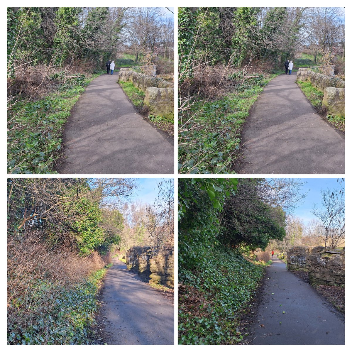 Water of Leith Conservation Trust tweet media