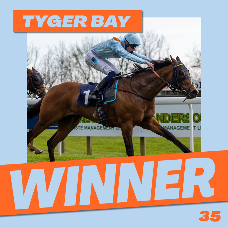 Middleham Park Racing tweet media