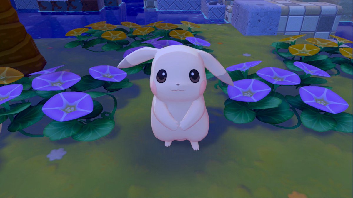 Elisa (optimism/acc) tweet media