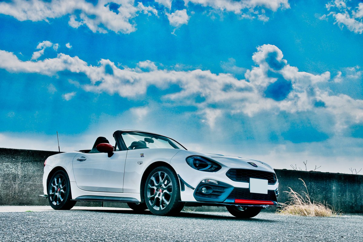 ねこさくら tweet media