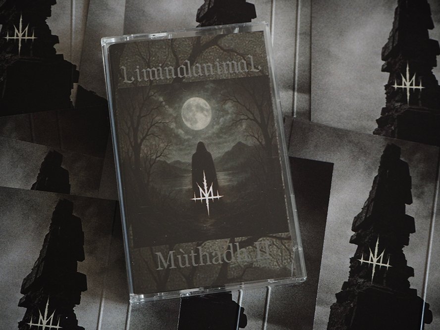 Depressive Illusions Records tweet media