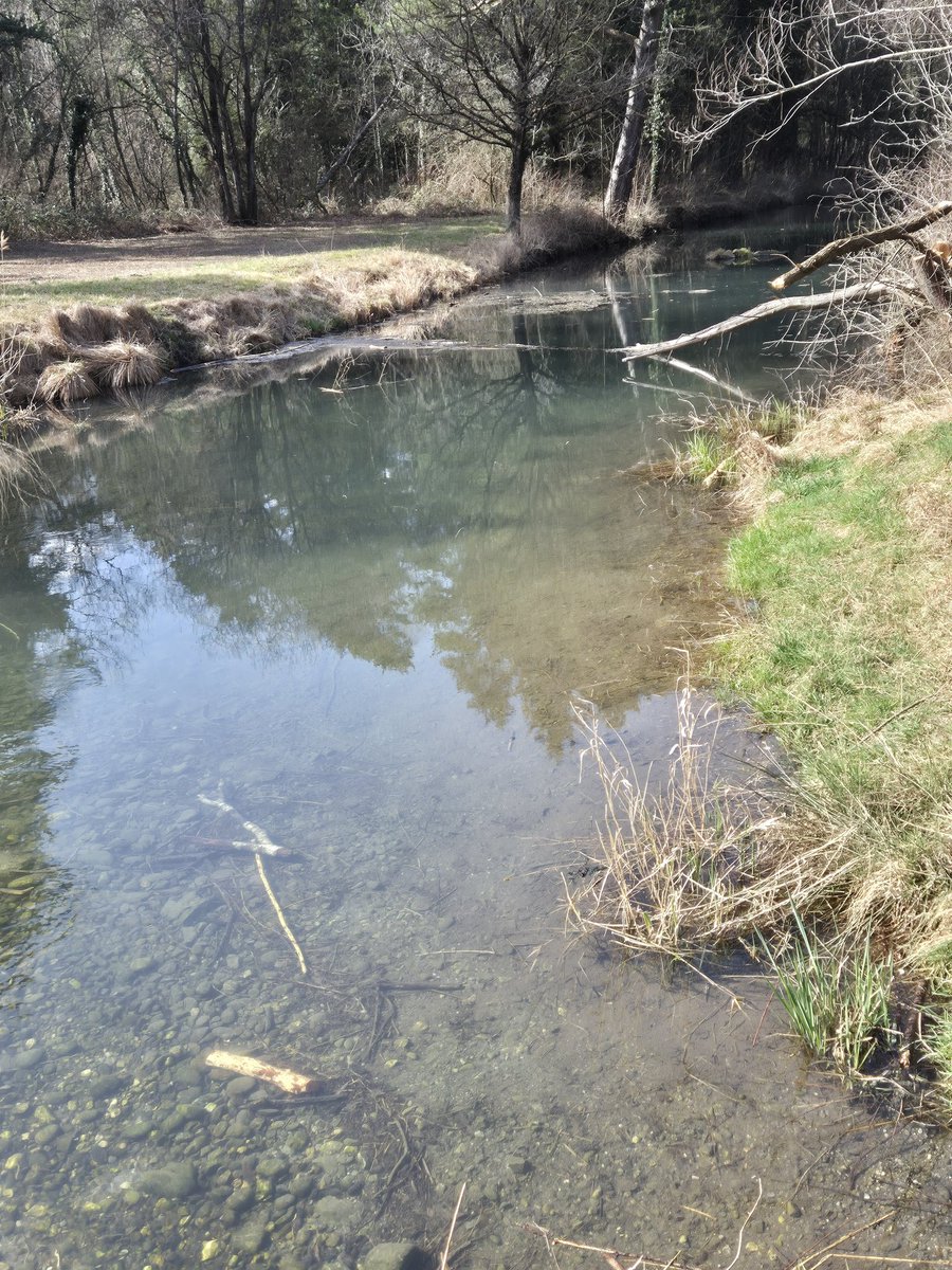 Nαԃʝα ˃ᴗ˂ tweet media