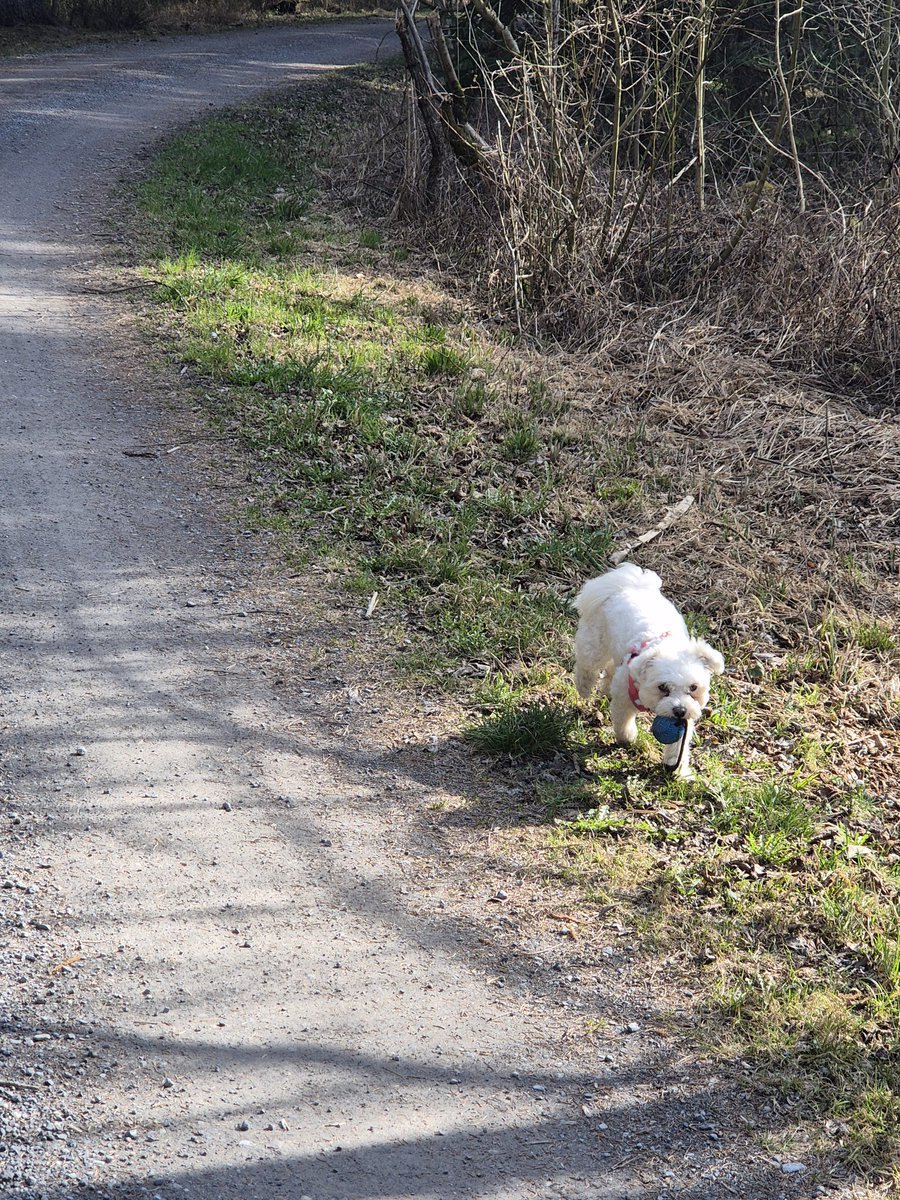 Nαԃʝα ˃ᴗ˂ tweet media