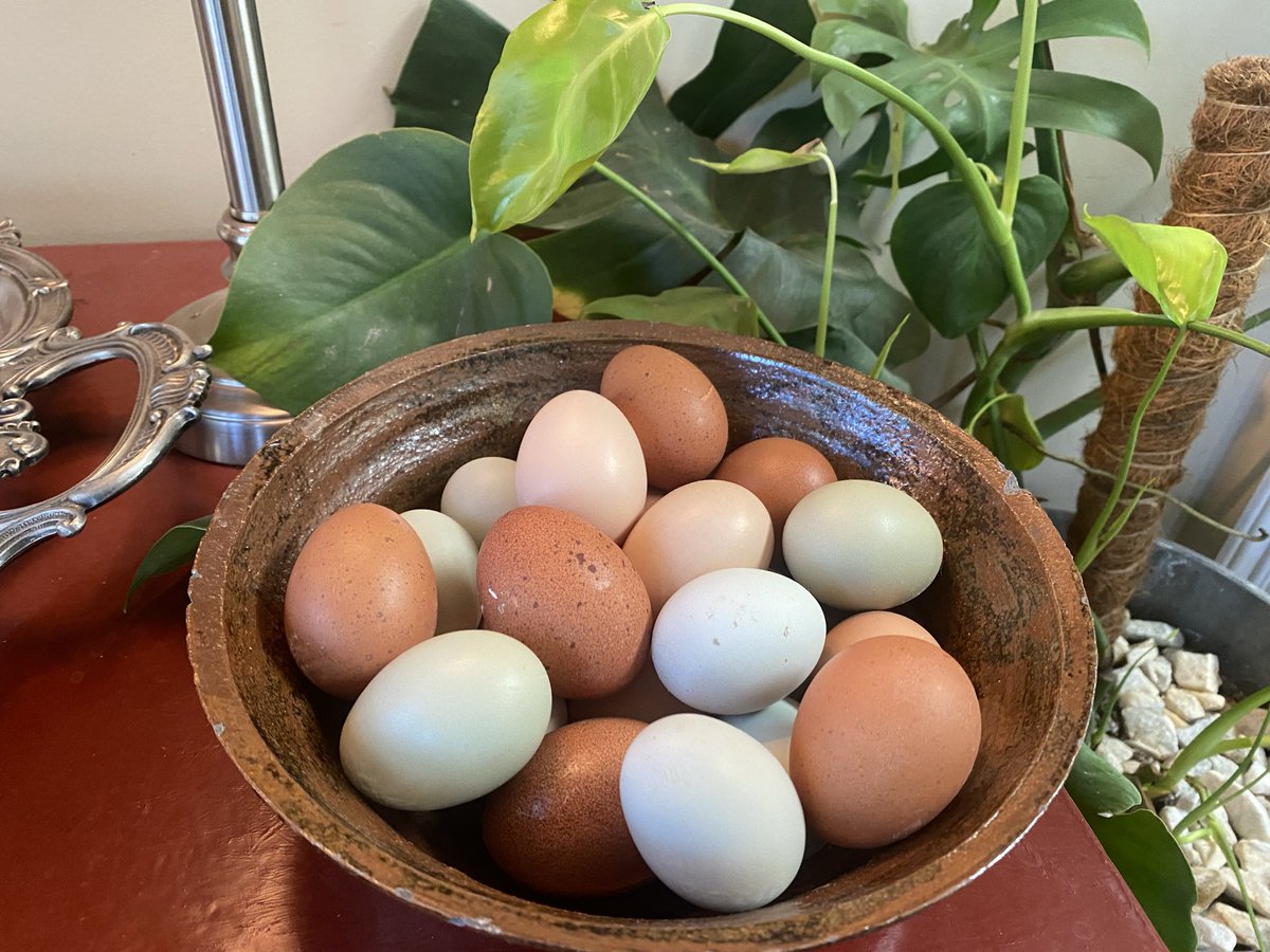 Jason Premo • Acclaim Aerospace tweet media