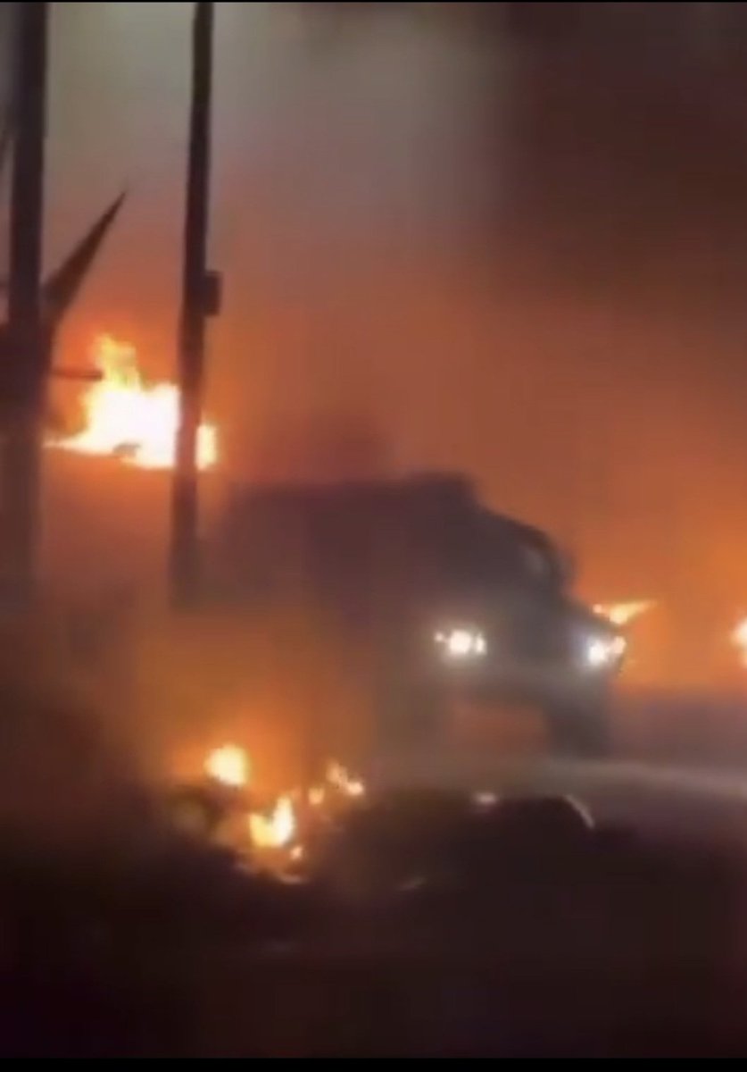 daniela leoni tweet media