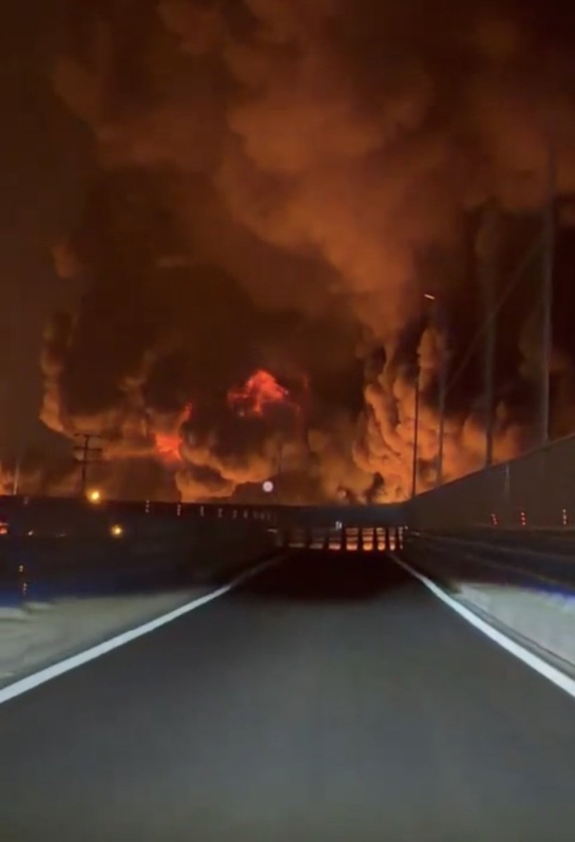 daniela leoni tweet media