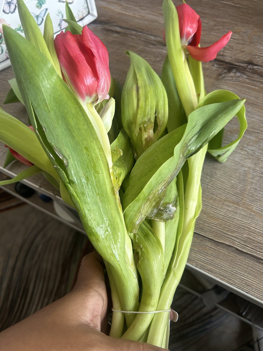 Xoli_Inno • Uppity African🇿🇦 tweet media