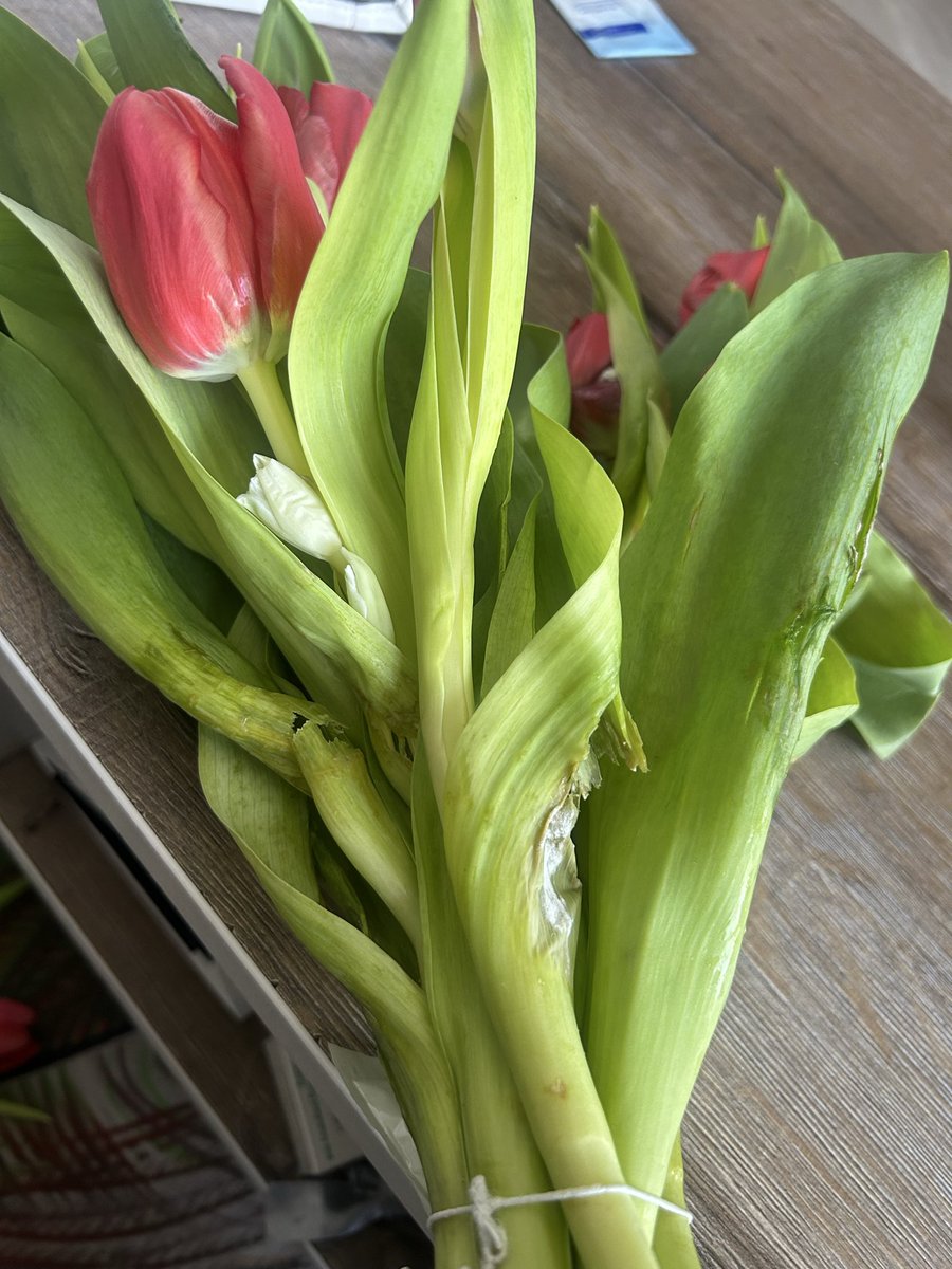 Xoli_Inno • Uppity African🇿🇦 tweet media