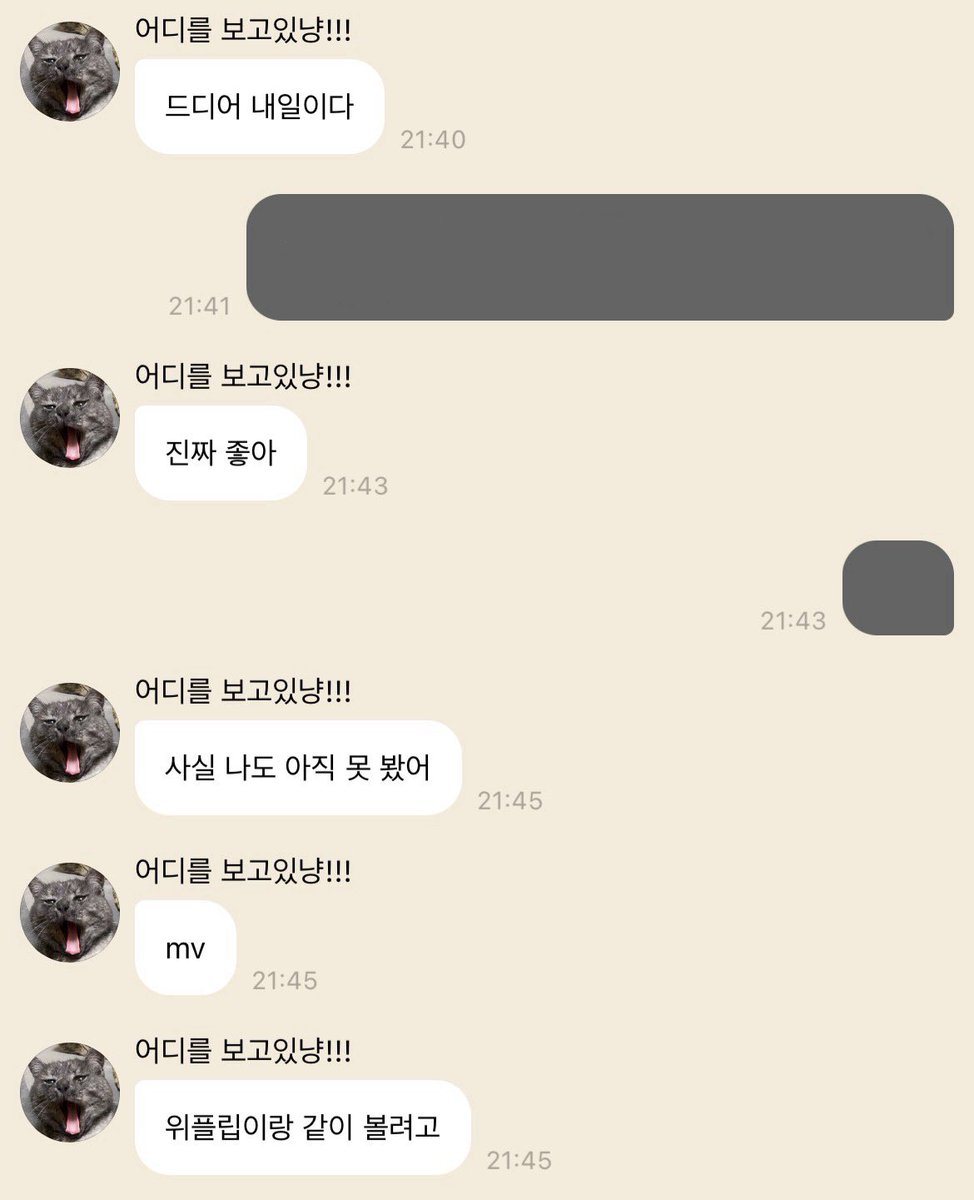 밥냥이 tweet media