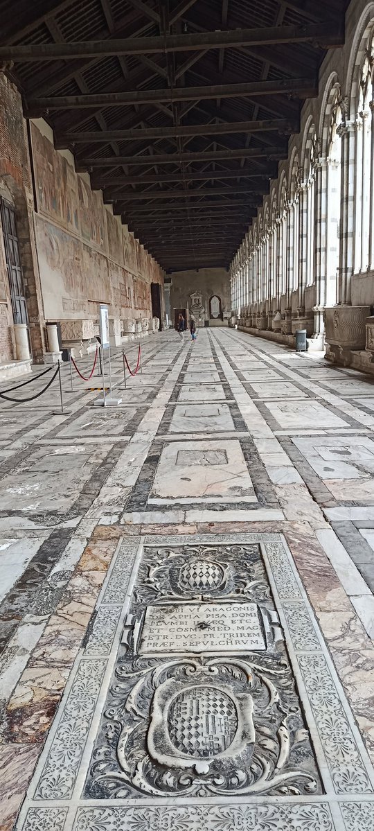 Almudena Timón tweet media