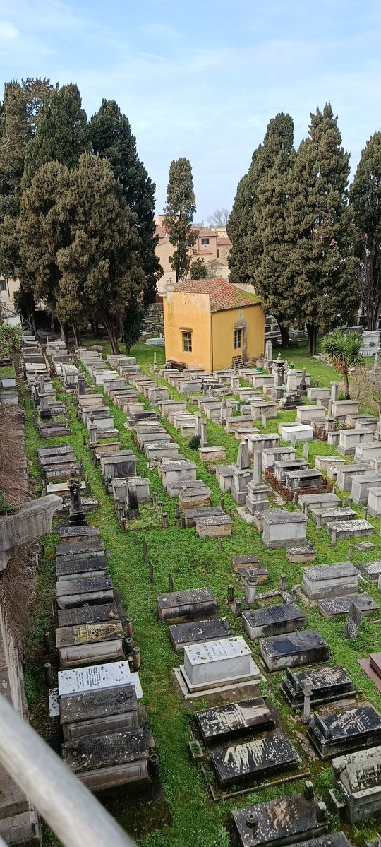 Almudena Timón tweet media