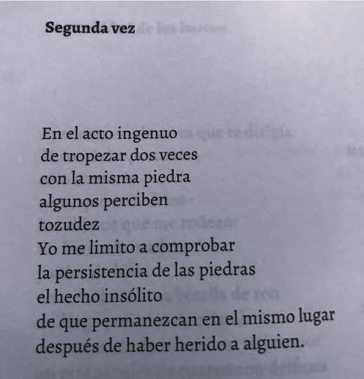 literland tweet media