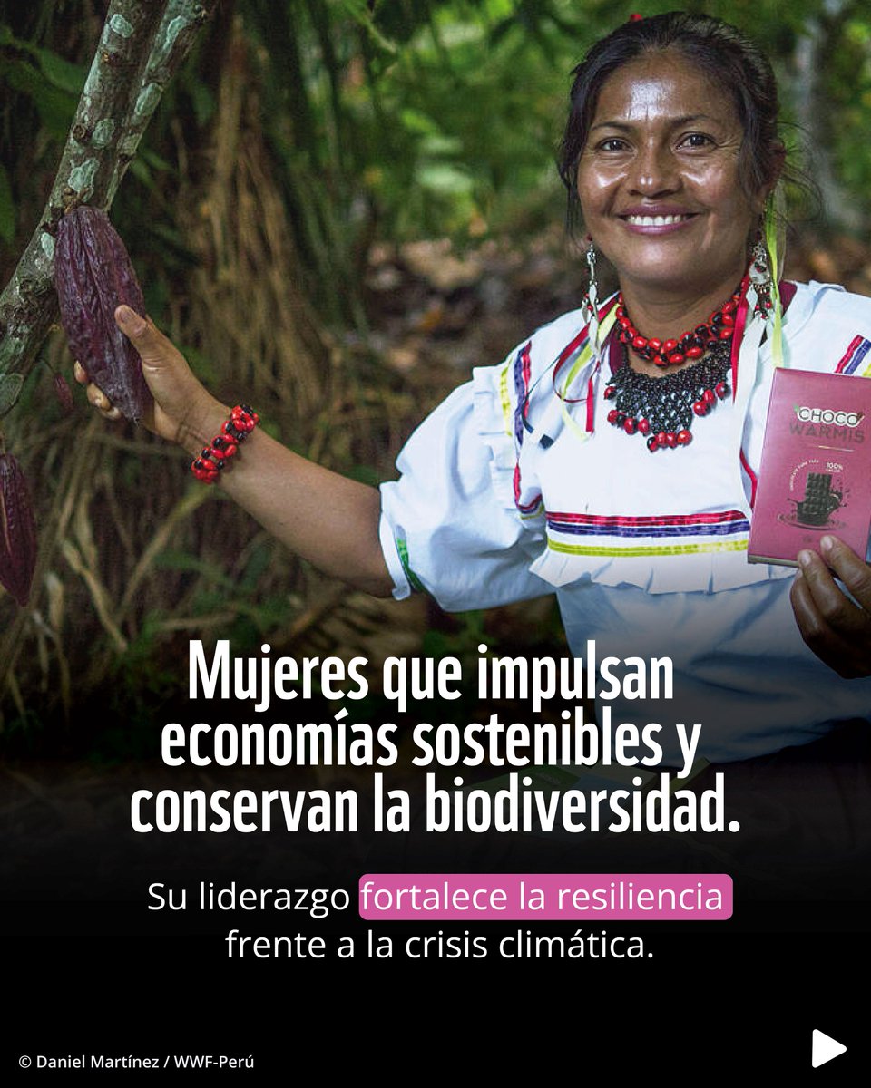WWF Perú tweet media