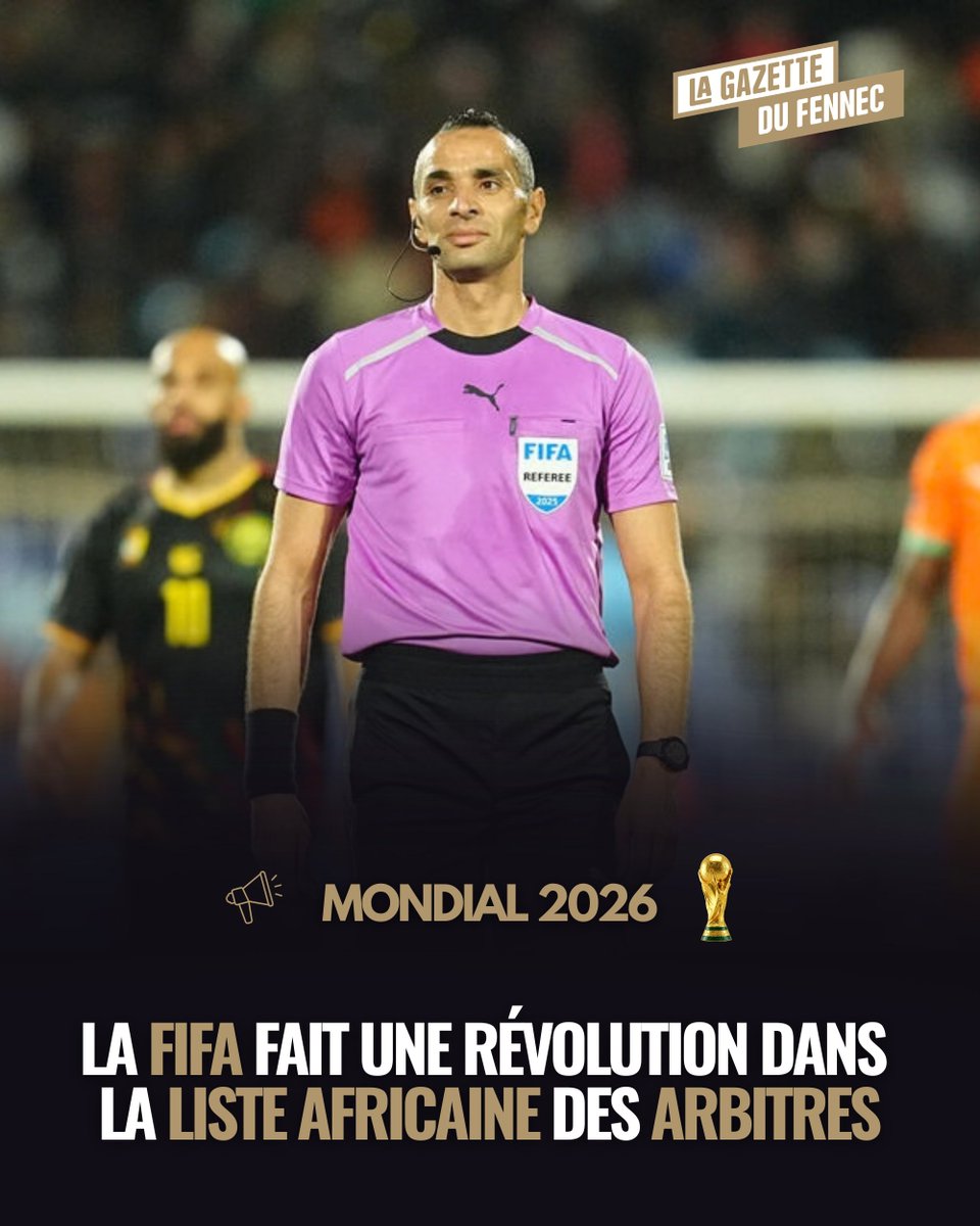 La Gazette du Fennec tweet media