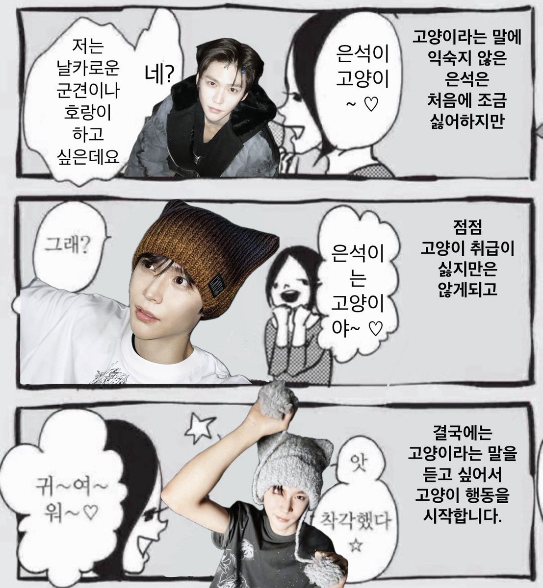 송은석 고양이 tweet media