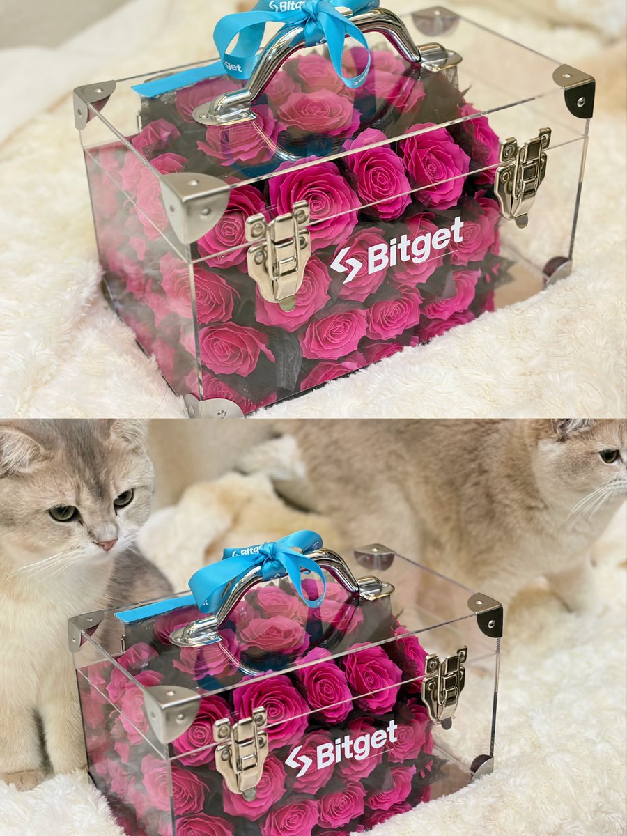 Bitget|Sabrina(UU) tweet media