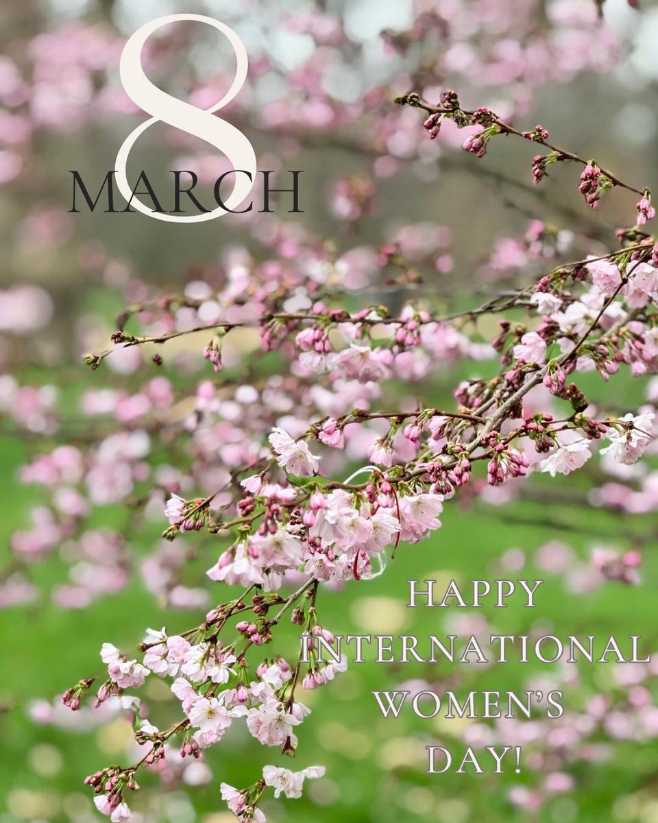 Laura Popescu tweet media