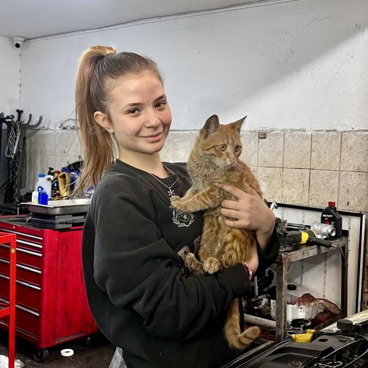 Pusholder tweet media