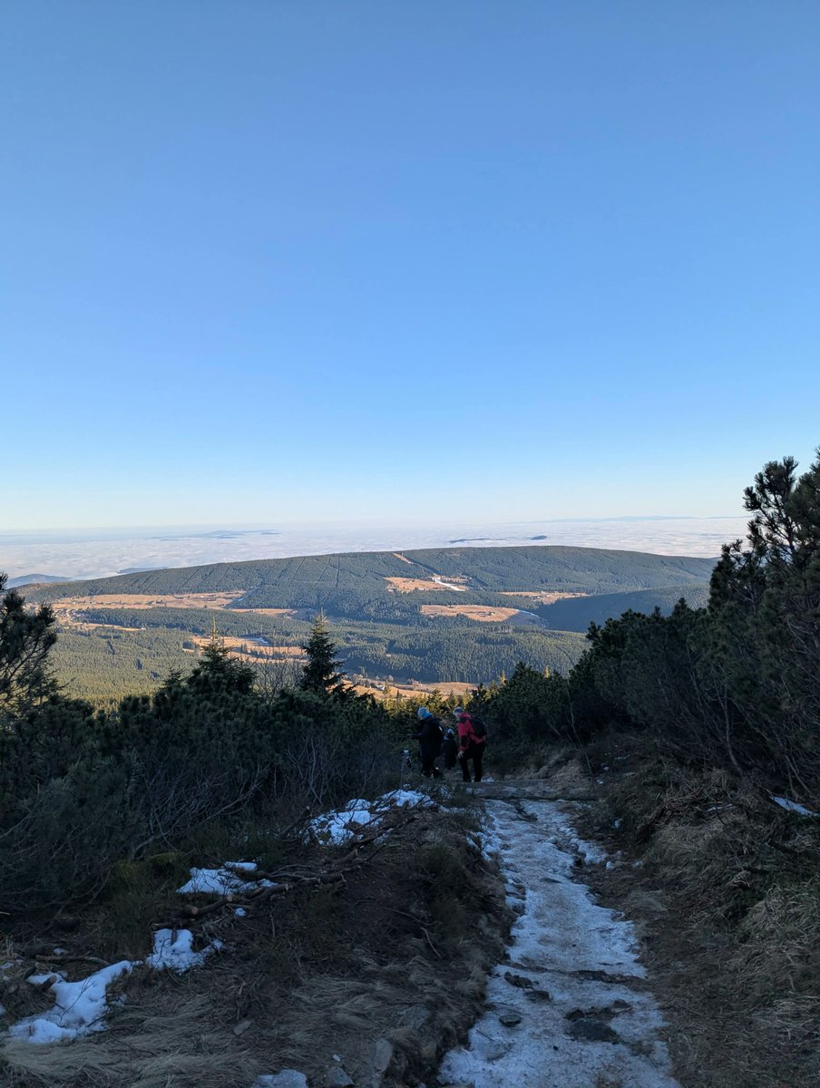 Adam Barta tweet media