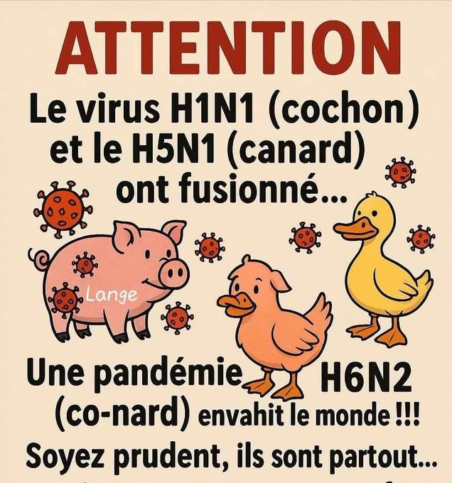 LeNidAigle4 ( info/intox avec humour... Quoique ) tweet media