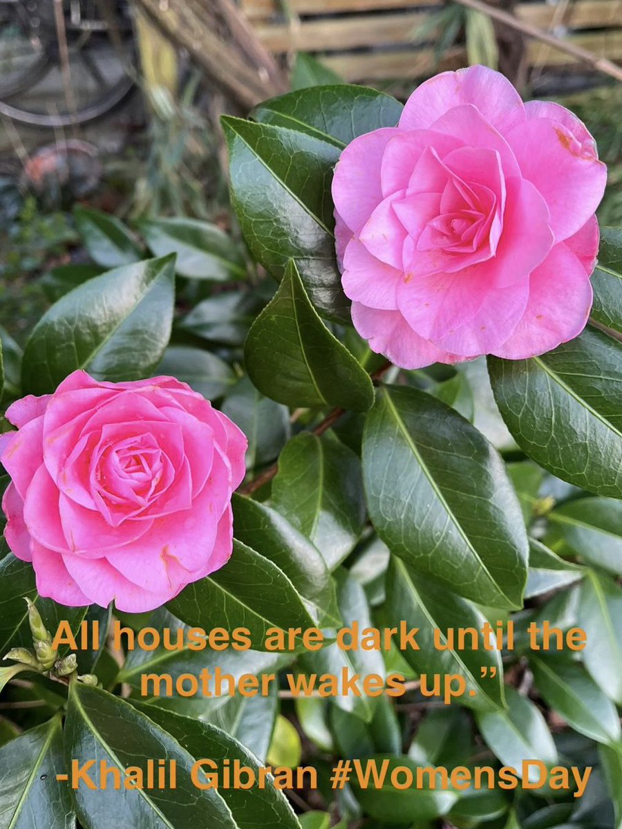 Joachim Coens tweet media