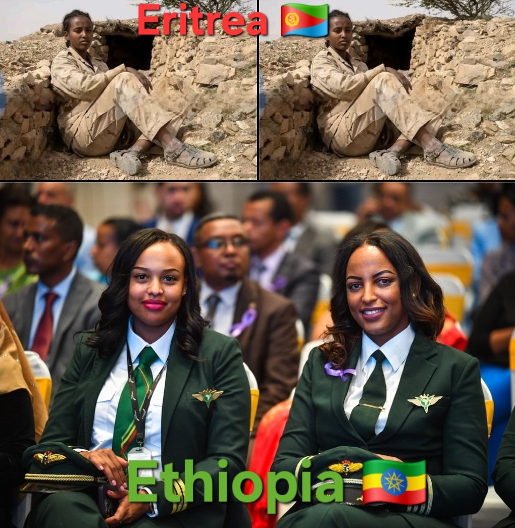 ኢትዮጵያውያን🇪🇹🇪🇷 tweet media