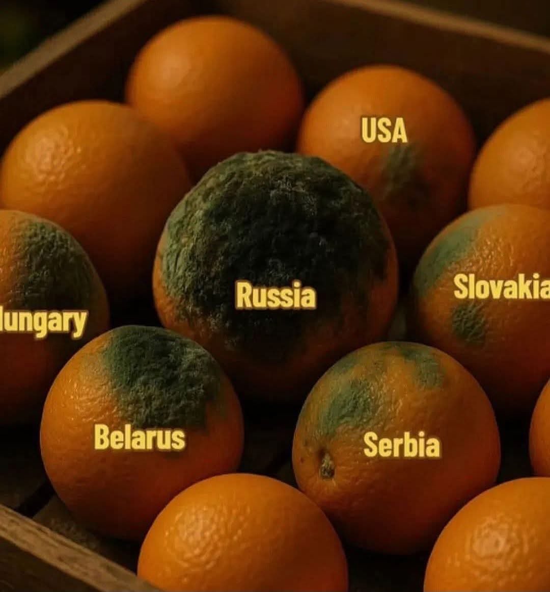 Petra Blankwaard tweet media