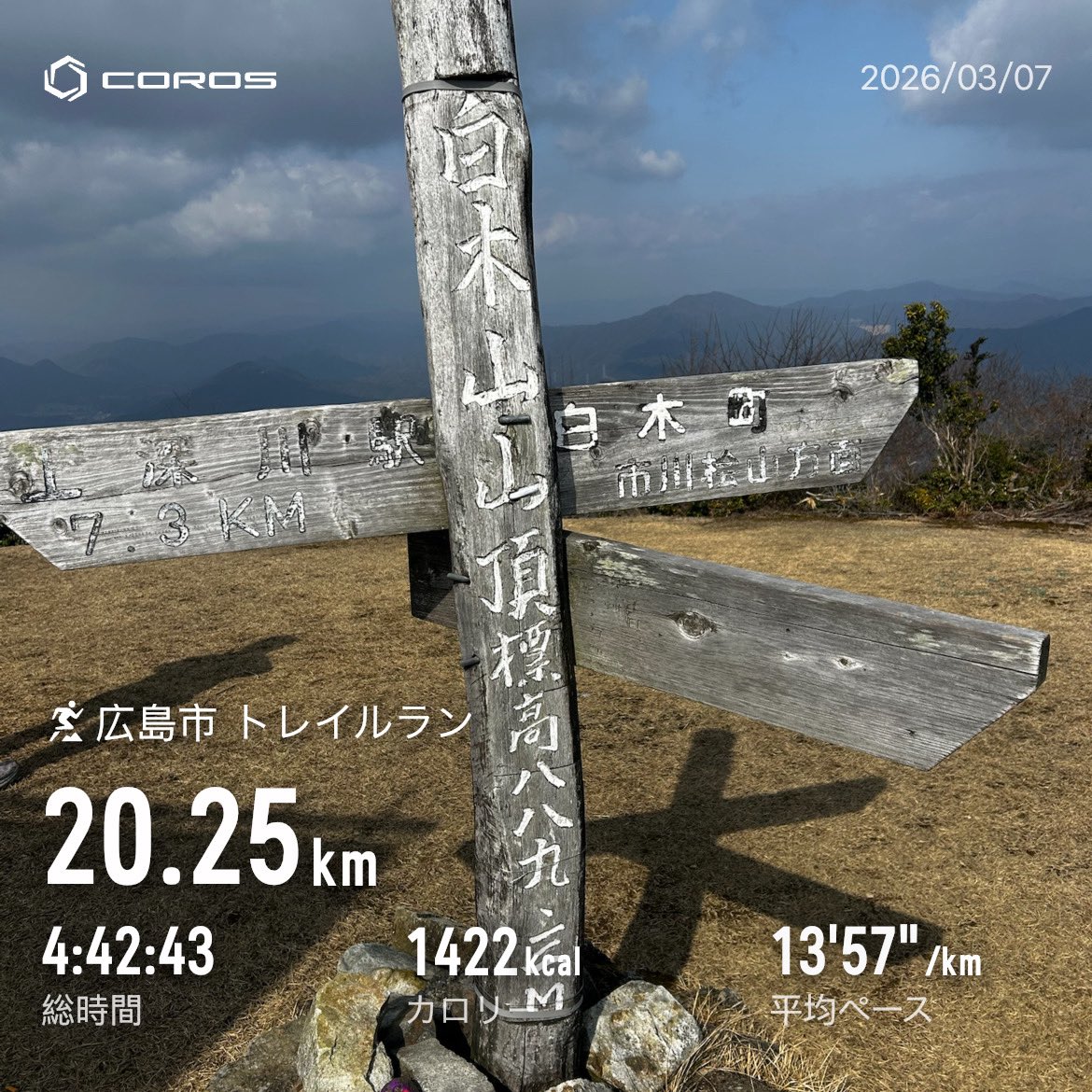 シロ tweet media