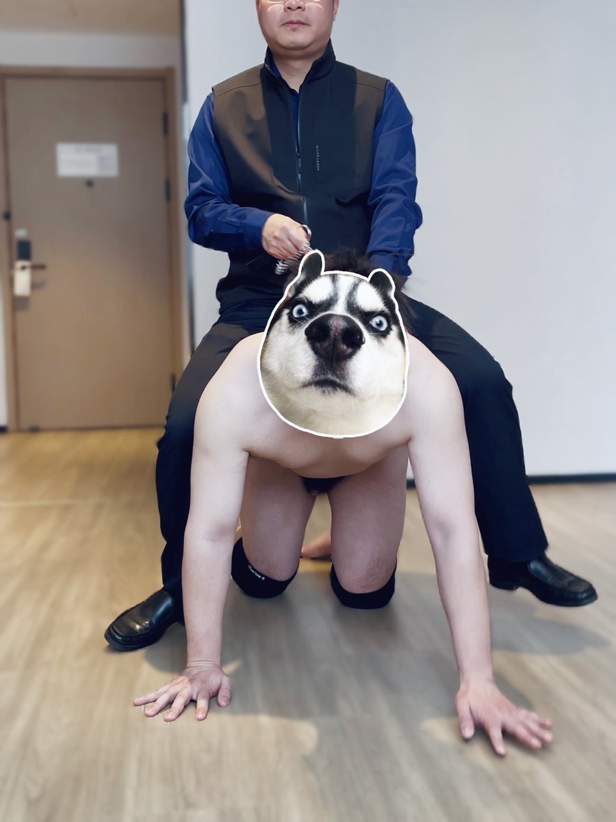 微胖的春天 tweet media