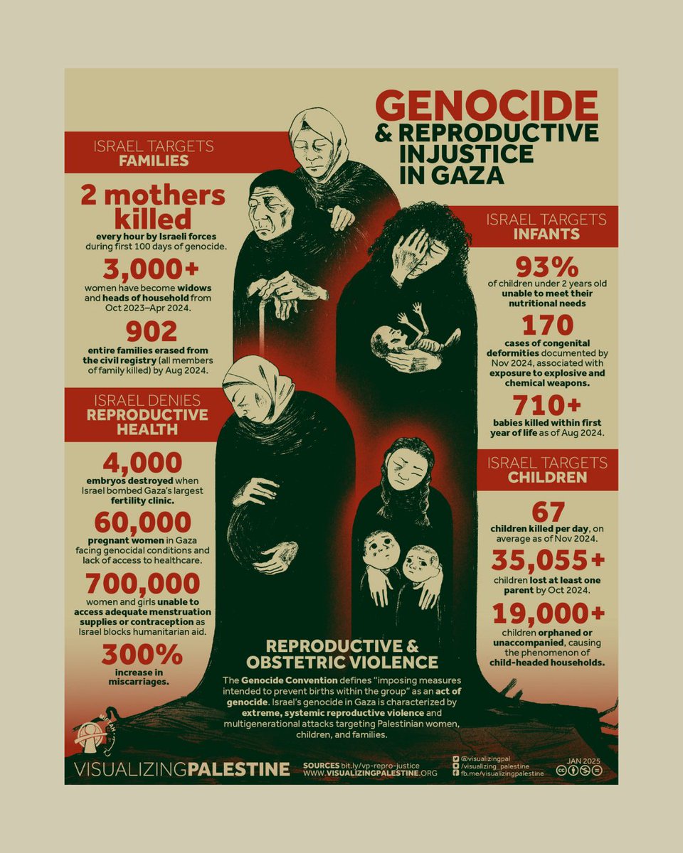 Visualizing Palestine tweet media