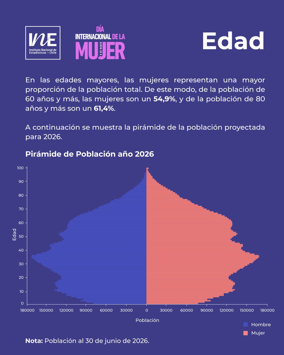 INE Chile tweet media