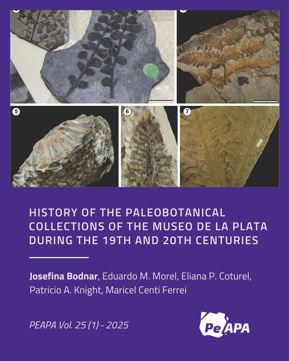 PE-APA Journal (Open Access) tweet media