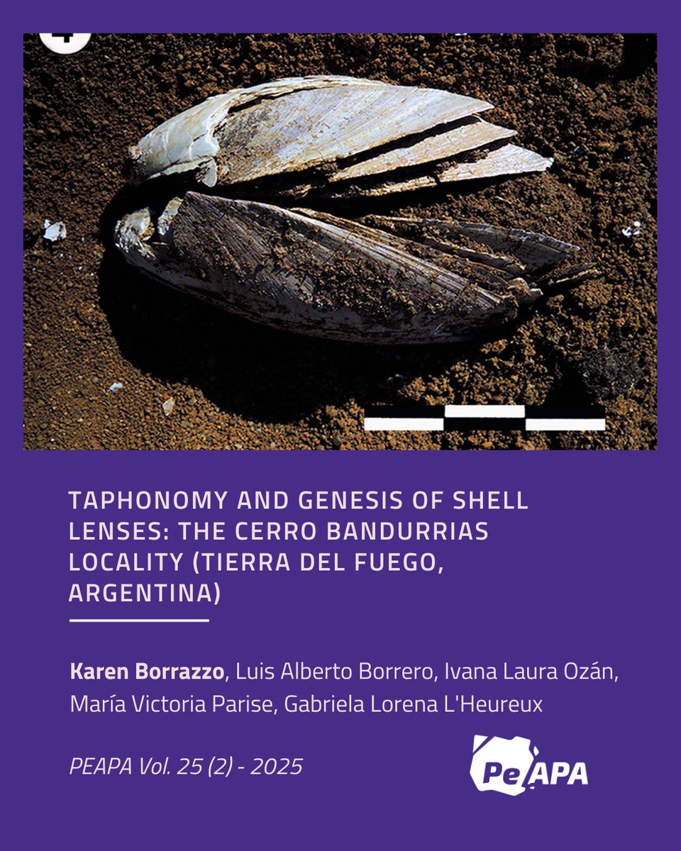 PE-APA Journal (Open Access) tweet media