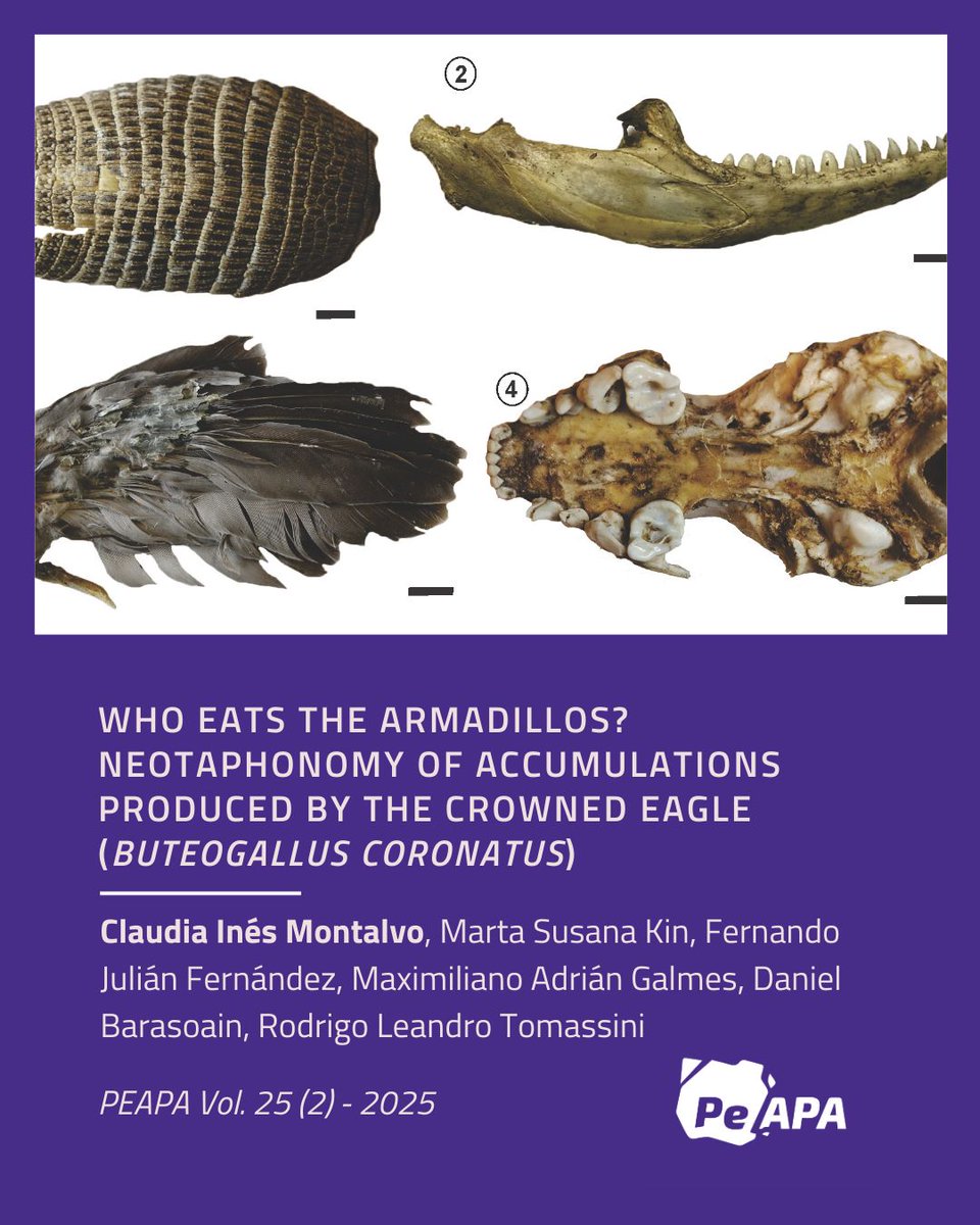 PE-APA Journal (Open Access) tweet media