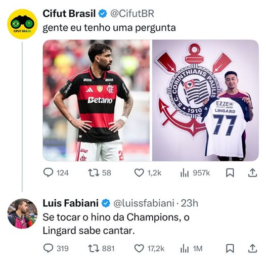 MANUAL DO JOGADOR RUIM tweet media