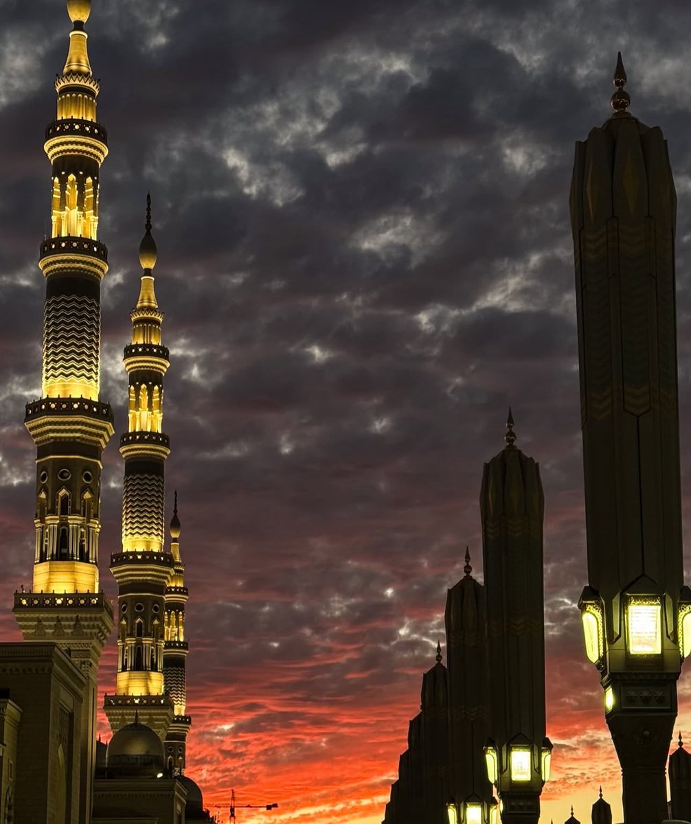 Aqsa Chaudhry🌙🇵🇸🇵🇰 tweet media